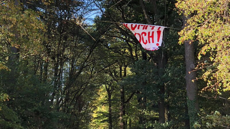 Hambacher Forst